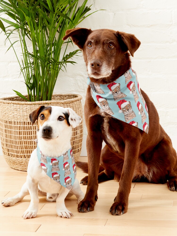 Alternate view of Christmas Cheetah in Blue Pet Bandana