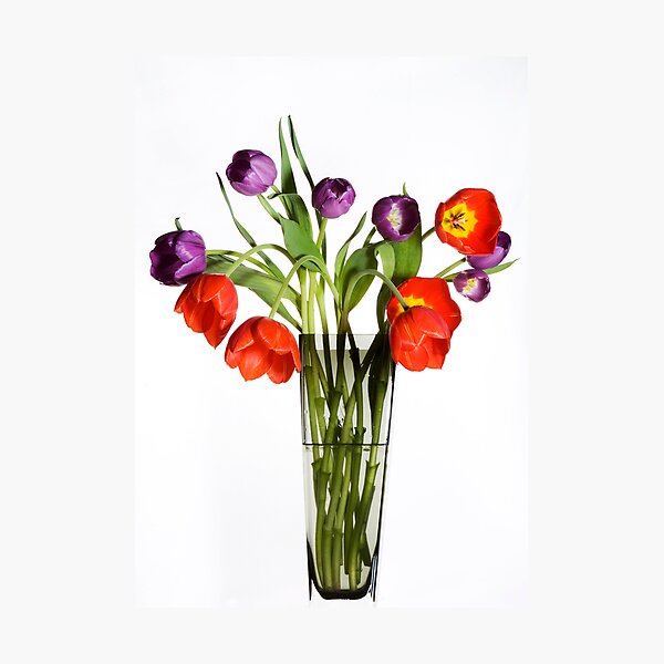 Item preview, Tulips designed and sold by SeanOlio.