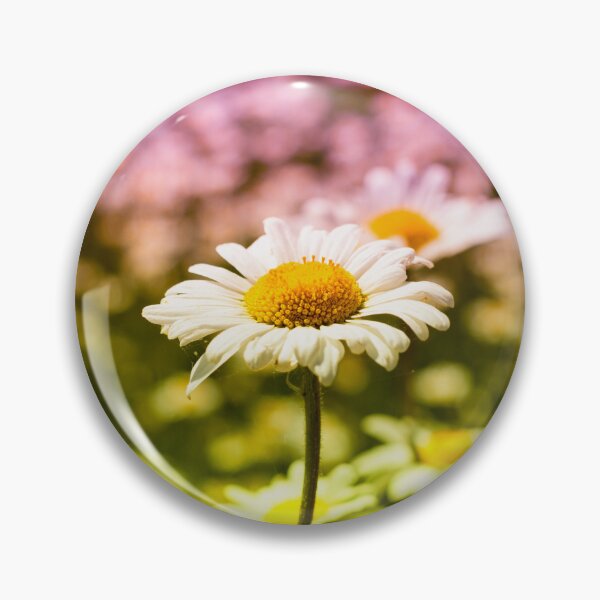 Item preview, Bi Color Daisy Flower designed and sold by Tanya C  Smith.