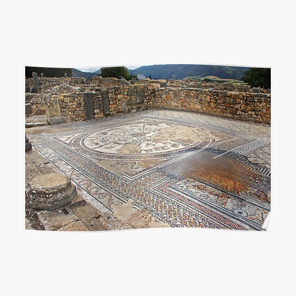 Roman mosaics Poster