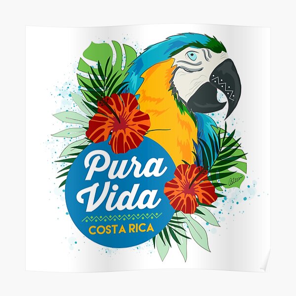 Beb/é Ni/ños Hogar Infantiles Vivero Decorativas Murales Wallpark Retro Patr/ón Geom/étrico Vistoso Globo aerost/ático Avi/ón Lindo Ping/üino Oso Jirafa Desmontable Pegatinas de Pared Etiqueta de la Pared