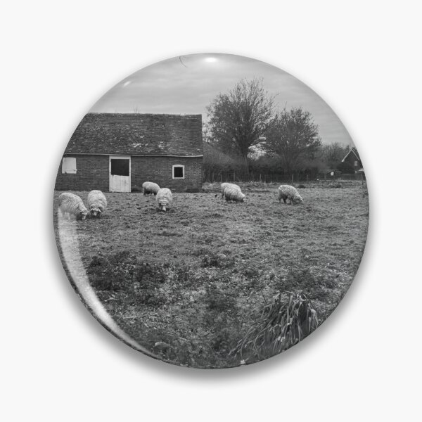Item preview, Sheep In Spring designed and sold by Dave Godden.