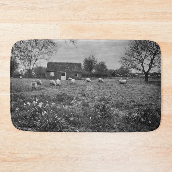 Item preview, Sheep In Spring designed and sold by Dave Godden.