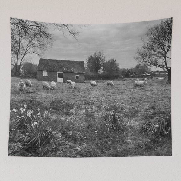 Item preview, Sheep In Spring designed and sold by Dave Godden.