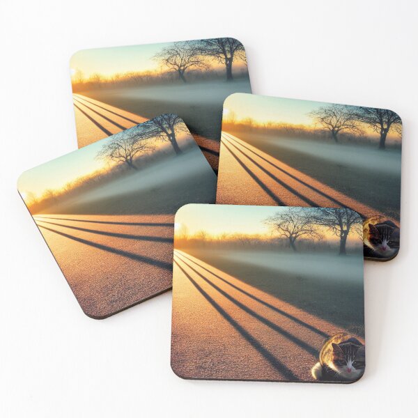 Item preview, Stray cat enjoys the warmth of the first sunrays designed and sold by RK - Shop.