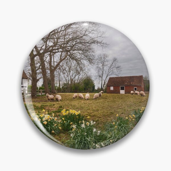 Item preview, Sheep In Spring designed and sold by Dave Godden.