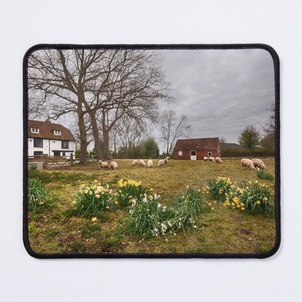Item preview, Sheep In Spring designed and sold by Dave Godden.
