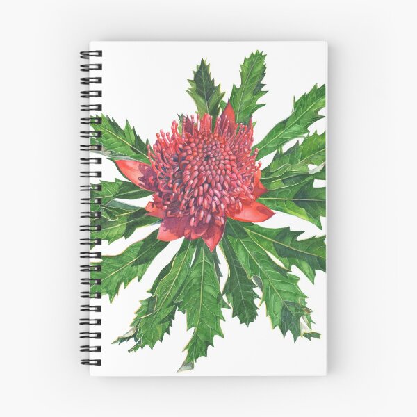 Item preview, Waratah designed and sold by Louise De Masi.