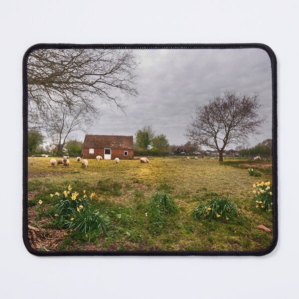 Item preview, Sheep In Spring designed and sold by Dave Godden.