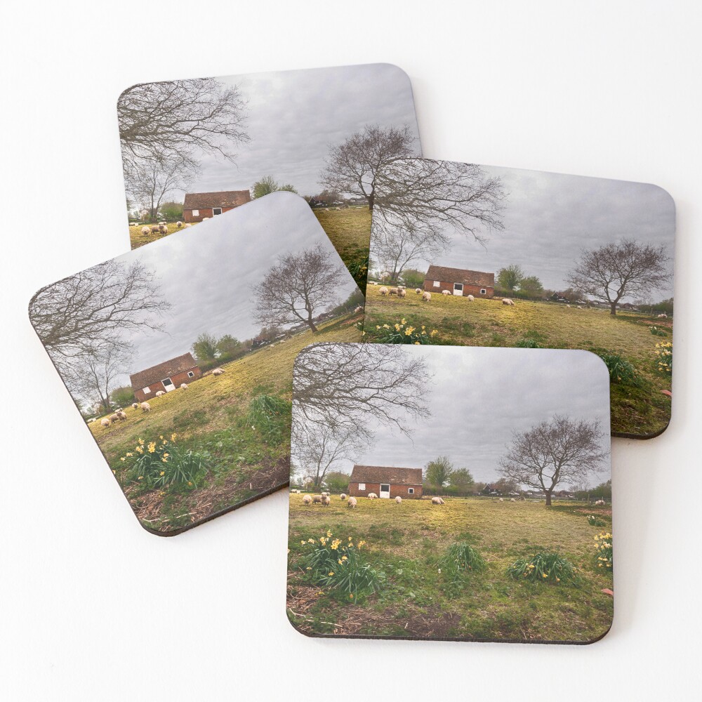 Item preview, Coasters (Set of 4) designed and sold by RWTA.