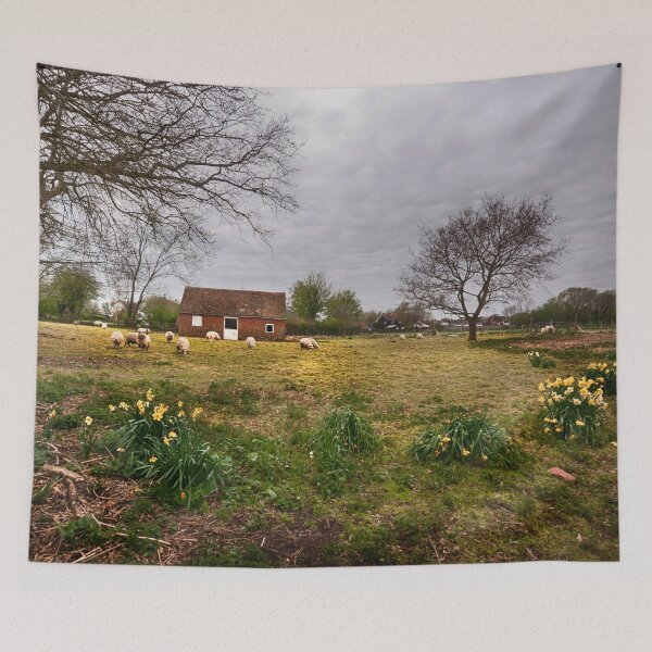 Item preview, Sheep In Spring designed and sold by Dave Godden.