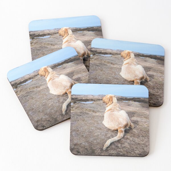 Item preview, Lying Upon The Seashore Spinone by heidiannemorris © designed and sold by FOLK ART FUSION by heidiannemorris.