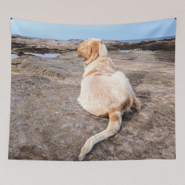 Item preview, Lying Upon The Seashore Spinone by heidiannemorris © designed and sold by FOLK ART FUSION by heidiannemorris.