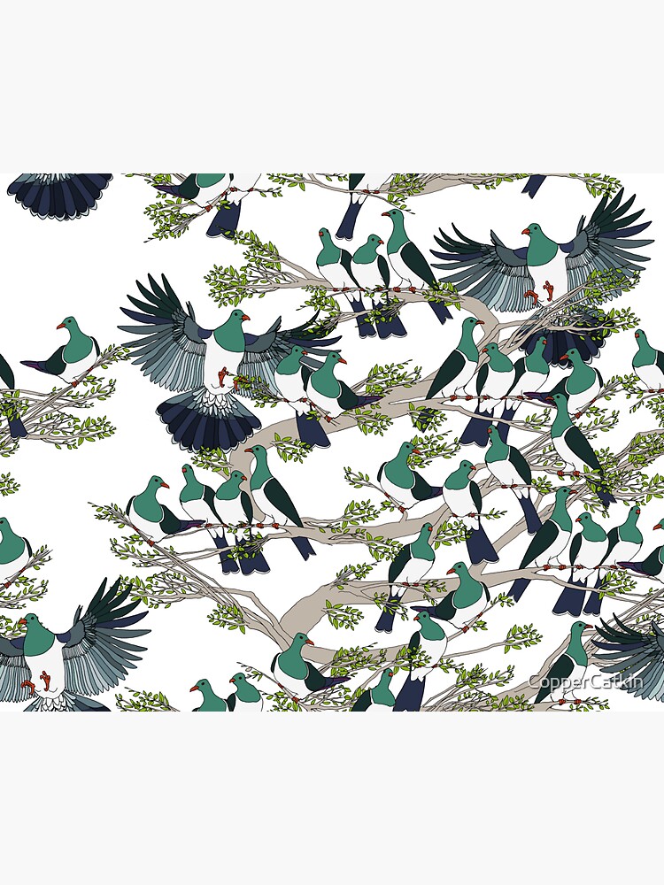 Kereru on white by CopperCatkin