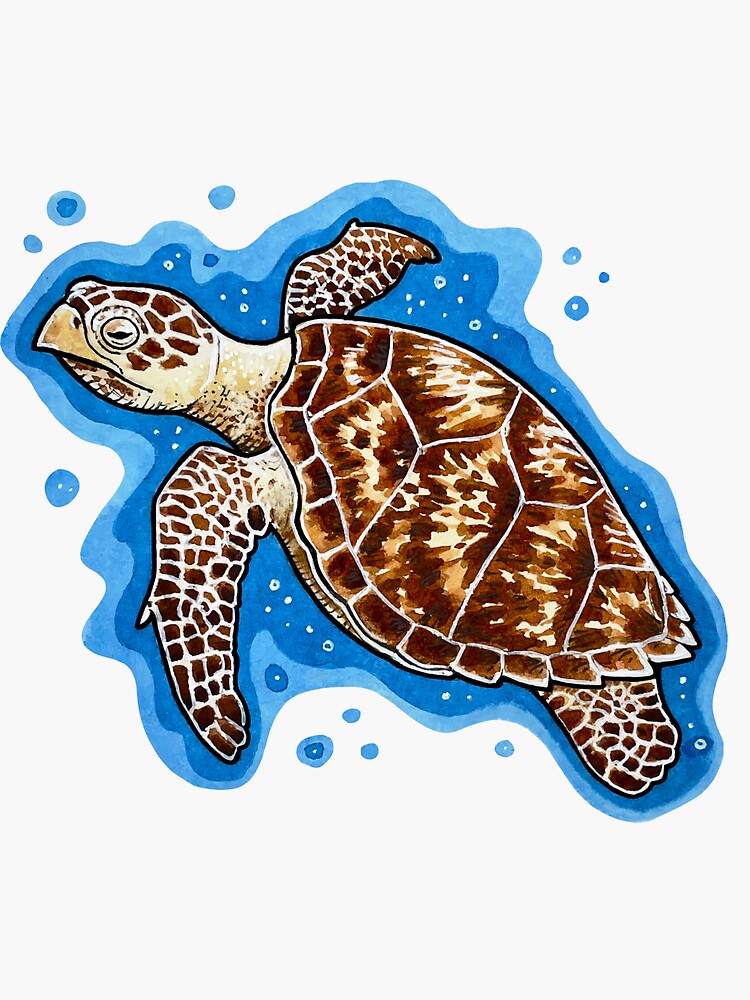 hawksbill-sea-turtle-sticker-for-sale-by-jebb-art-redbubble