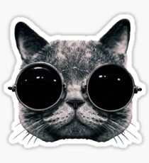 Meow Me-Yeahhhh... Sticker