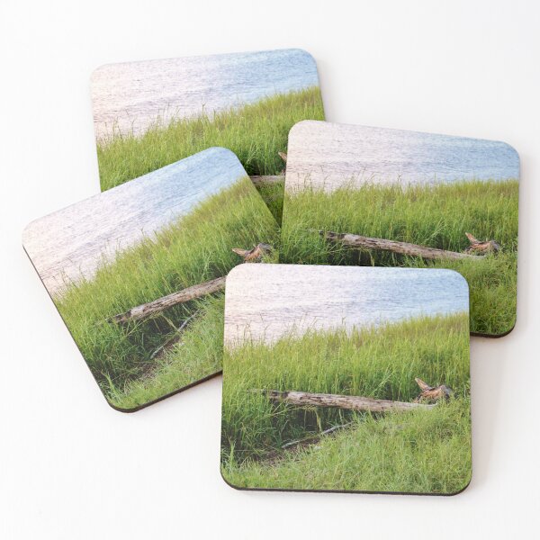 Item preview, Turtle Log At Sunset designed and sold by Cynthia48.