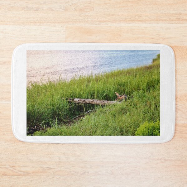 Item preview, Turtle Log At Sunset designed and sold by Cynthia48.