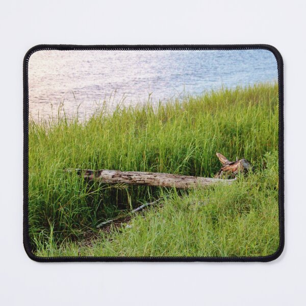 Item preview, Turtle Log At Sunset designed and sold by Cynthia48.