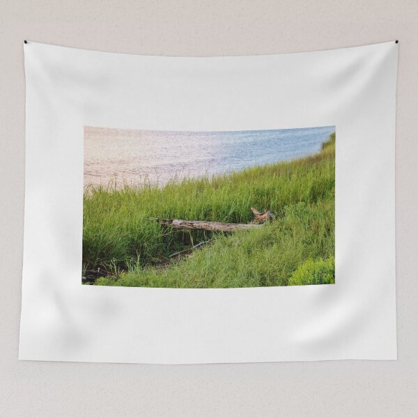 Item preview, Turtle Log At Sunset designed and sold by Cynthia48.