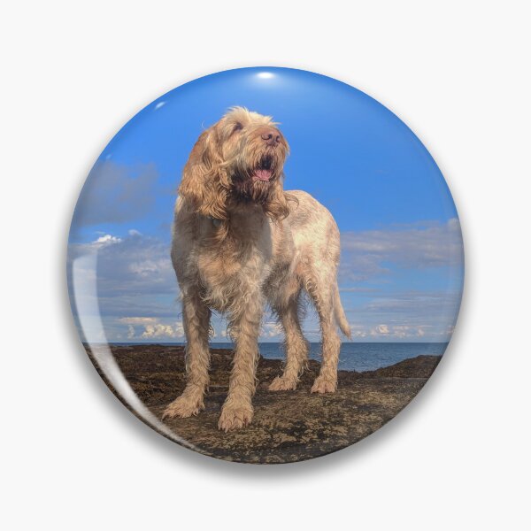 Item preview, I Am Standing upon The Seashore Spinone by heidiannemorris © designed and sold by FOLK ART FUSION by heidiannemorris.