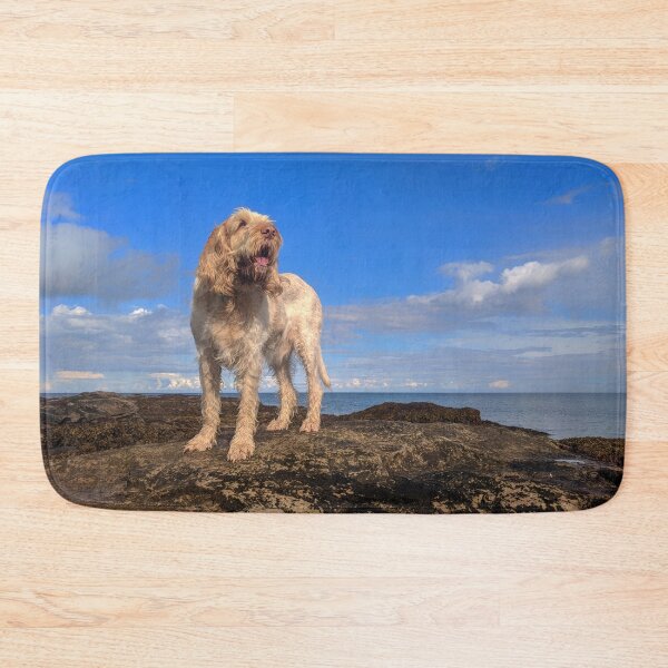 Item preview, I Am Standing upon The Seashore Spinone by heidiannemorris © designed and sold by FOLK ART FUSION by heidiannemorris.