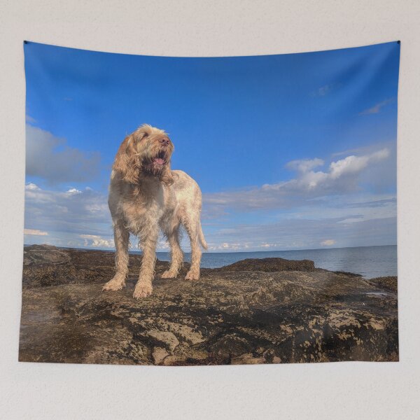 Item preview, I Am Standing upon The Seashore Spinone by heidiannemorris © designed and sold by FOLK ART FUSION by heidiannemorris.