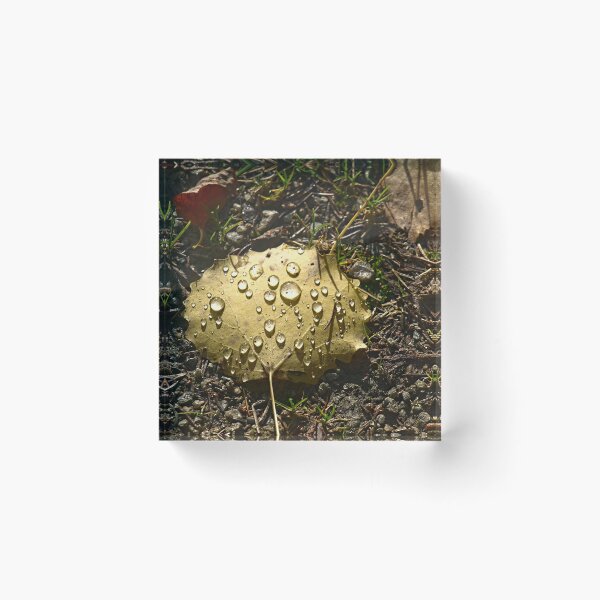 Item preview, Forest Leaf With Raindrops In Eskilns designed and sold by Barry W  King.