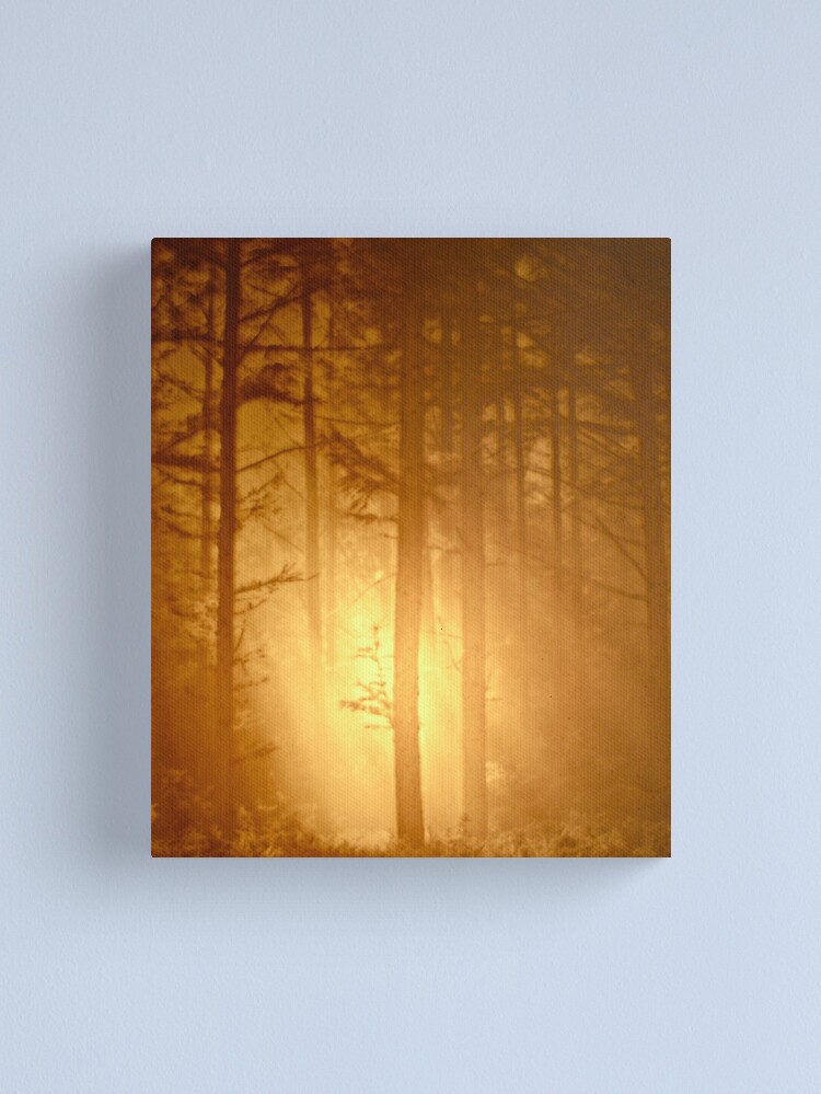 Thumbnail 1 of 3, Canvas Print, Close Encounter ... of the Second Kind designed and sold by alvinsan9.