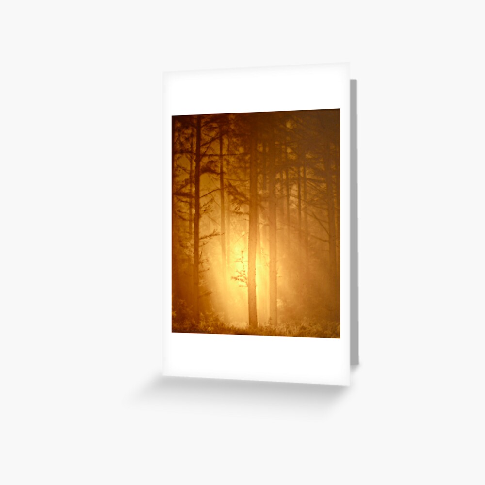 Item preview, Greeting Card designed and sold by alvinsan9.