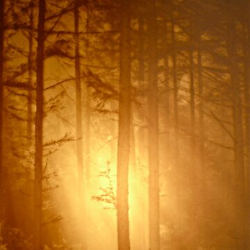 Artwork thumbnail, Close Encounter ... of the Second Kind by Alvin C Whaley