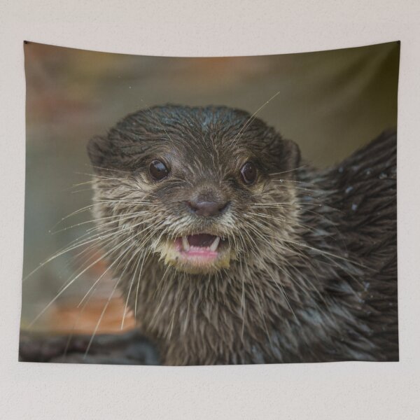 Item preview, Otterly Surprised designed and sold by rawshutterbug.