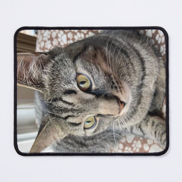 Item preview, Charming Cat designed and sold by Amanda1775.