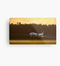 The Early Bird Metal Print