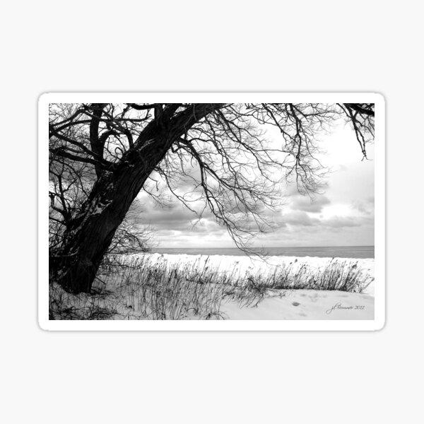An Erie Calm Sticker