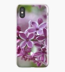 Two-Tone Lilacs iPhone Case