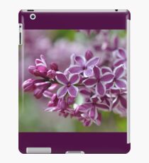 Two-Tone Lilacs iPad Case/Skin