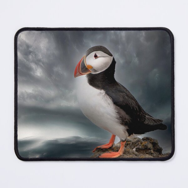 Item preview, Puffin designed and sold by Toi-Vido.