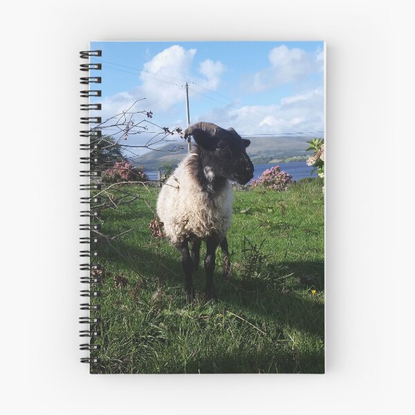 Item preview, Magestic lamb designed and sold by Aoibhinn-B123.