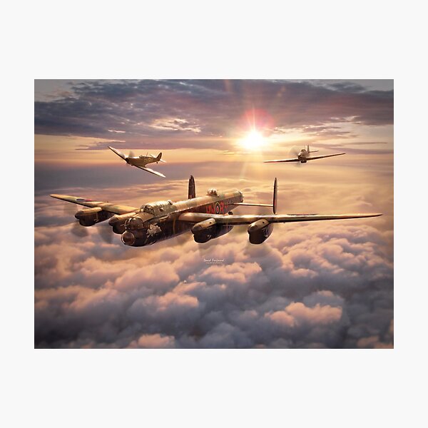 Item preview, Memorial Flight designed and sold by DavidPenfound.