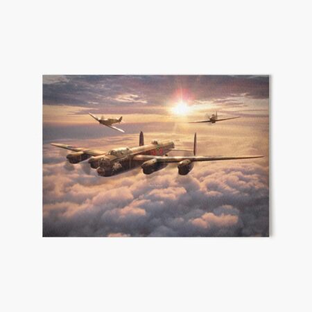 Memorial Flight Art Board Print