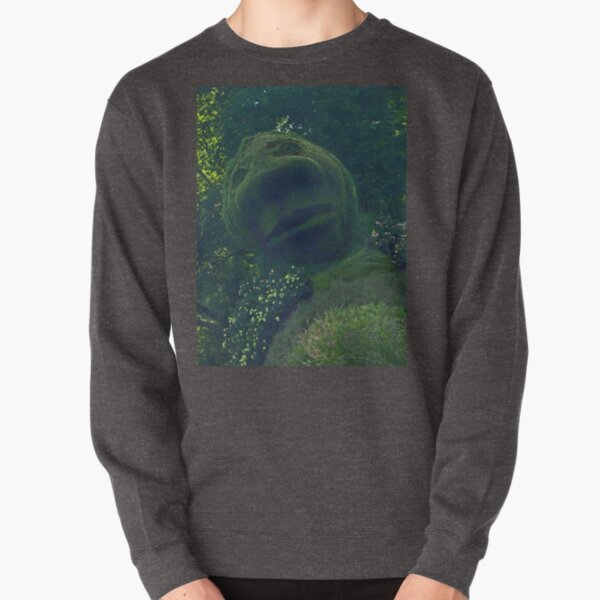 Earthy Head at Floriade 2012 Pullover Sweatshirt
