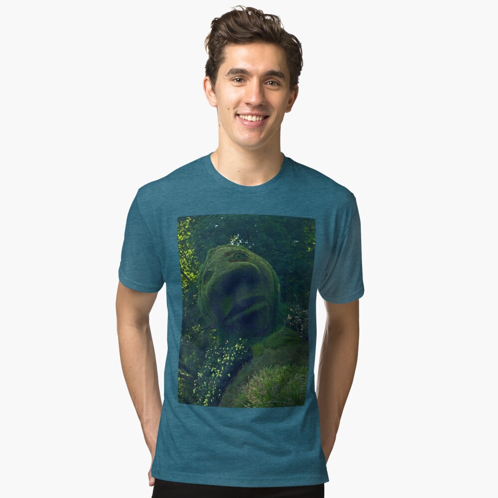 Item preview, Tri-blend T-Shirt designed and sold by VeryIreland.