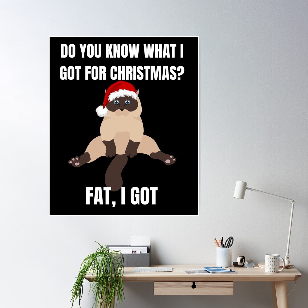 Cat Meme Do You Know That I Got For Fat I Got Fat Christmas T