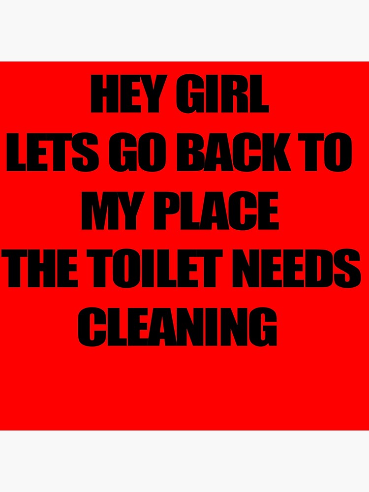 Hey Girl Lets Go Back To My Place The Toilet Needs Cleaning Poster For Sale By Buchshot