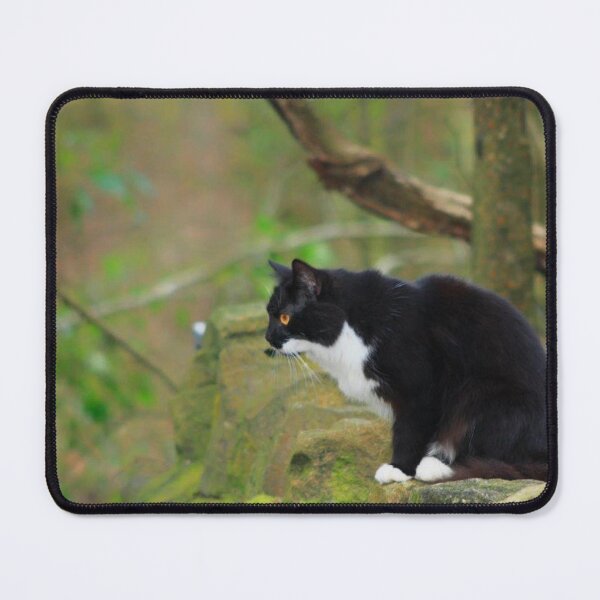 Item preview, black and white fluffy cat designed and sold by Francespoppy.