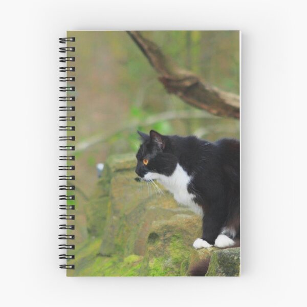 Item preview, black and white fluffy cat designed and sold by Francespoppy.