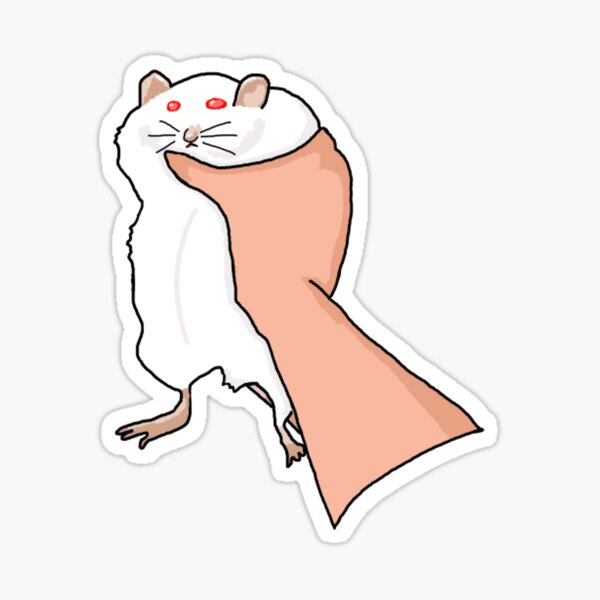 "Rat being held meme" Sticker for Sale by novawaves Redbubble