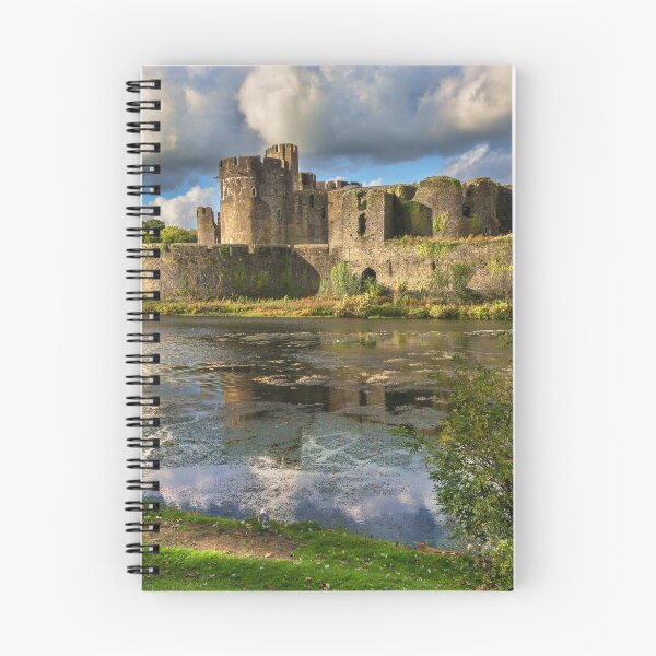 Item preview, Caerphilly Castle Moat designed and sold by IanWL.