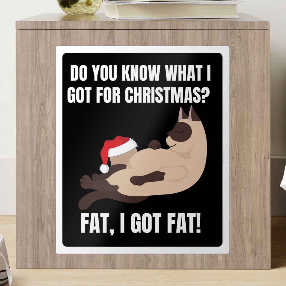 Cat Meme Do You Know That I Got For Fat I Got Fat Christmas T